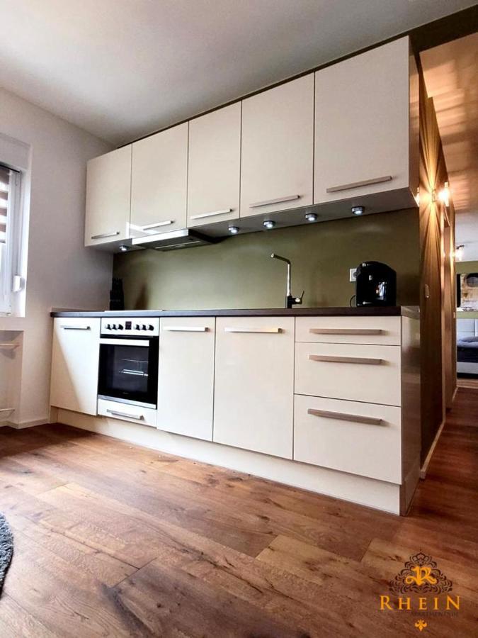 Top Modernes Rhein Apartment Vallendar Mit Balkon Exterior photo
