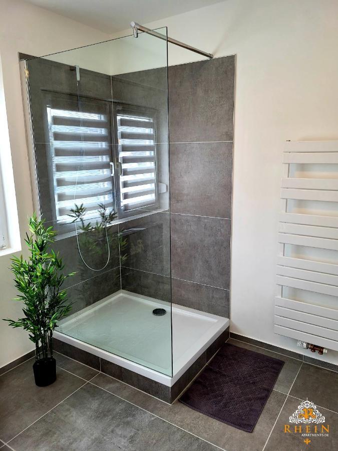 Top Modernes Rhein Apartment Vallendar Mit Balkon Exterior photo